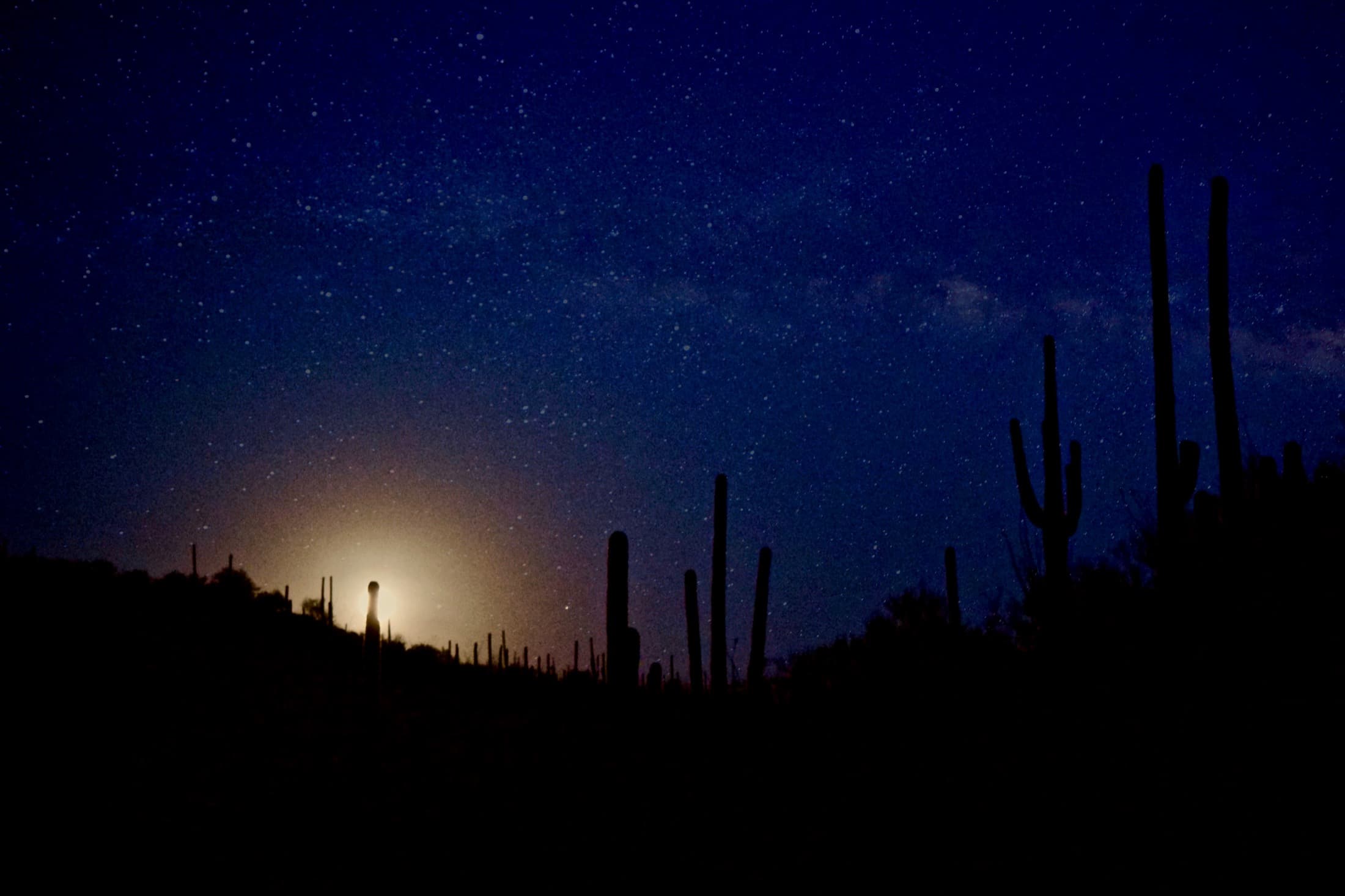 A faint dawn glow on the horizon of a starlit desert
